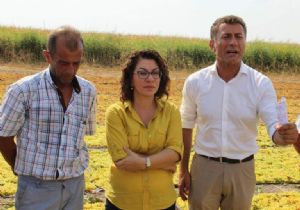 CHP’li Orhan Sarıbal’dan üzüm raporu!